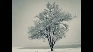 Auf dem Flusse aus Schuberts Winterreise