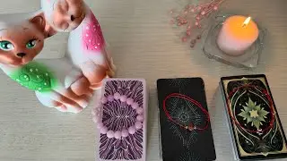 Что важно знать? Куда двигаться дальше? (3 варианта)