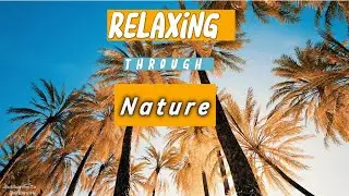 Let's Relax Through Nature