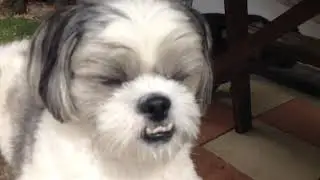 Charlie's Only Friend Part 4; Redemption
