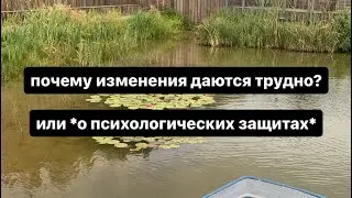 Родное болото — или механизмы психологической защиты