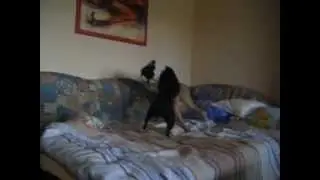 Sidney und Lenny Spielen Teil 2