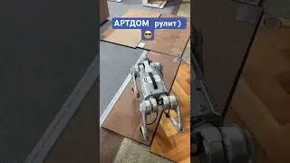 Выставка дизайна интерьеров. Артдом 2024 г. Чего только не увидишь… 