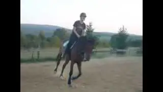 Szellőke