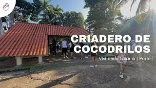 Explorando Guamá: Parte 1 - Criadero de Cocodrilos | Nice Travel