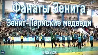 Гандбол "Зенит"-"Пермские медведи" 26.05.2024