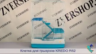 Клетка Kredo для грызунов R52