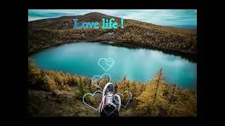 Love life