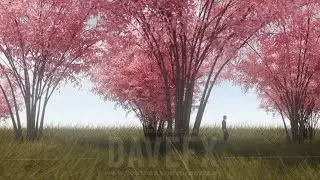 Walking in Nature Time Lapse - Looping Animation - C4D, Octane, After Effects ...