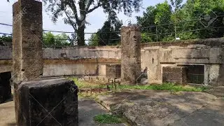 Discovering Something Old... | Exploring Mount Imbiah