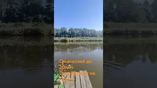 карповый кораблик для рыбалки . с Автопилотом