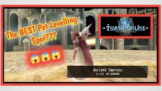 TORAM ONLINE | Fastest way to Levelling your Pet?? HDB Ancient Empress