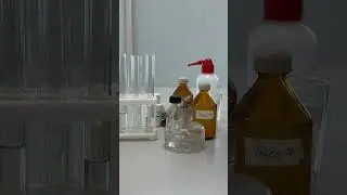 5-зертханалық жұмыс 8 сынып