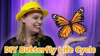 Do you know what a chrysalis is??? | JOYful Moments