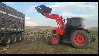 Kuzeytek Makina pancar yükleme ataçmanlı ön yükleyici kepçe kubota traktör kepçe
