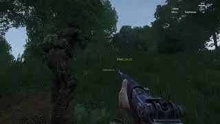Чортовы гуки