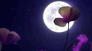🩷☘️💭Его мысли о тебе перед сном🩷