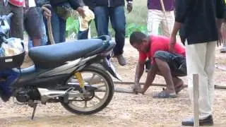 KingCobra