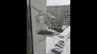 Кормушка на окно. Синицы и кот)