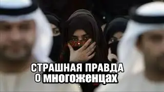 МНОГОЖЕНЦЫ. Думают ли они о женах, когда берет еще одну? Вы не поверила своим ушам