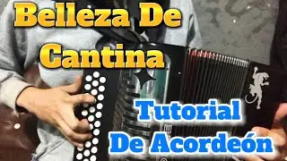 Tutoríal Belleza De Cantina//Acordeon