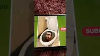 БРРР СКИБИДИ
