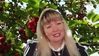 ПЕСНИ ДЛЯ ДУШИ
