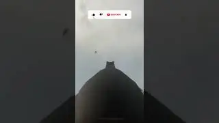 Shotgun Kill Canada Goose in Air  