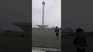 monas