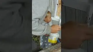 The Easiest DIY Gate
