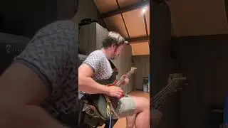 Signal - Could this be love