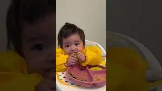 Baby led weaning for my 6 month baby