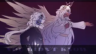 You didn't know // Countryhumans meme // Hazbin Hotel song