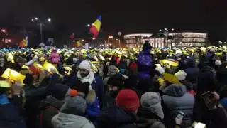 Multicolorul din fața guvernului / 12 februarie 2017