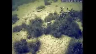 Белое море часть 3