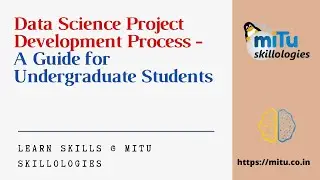 Data Science Project Development Process - A Guide for Undergraduate Students