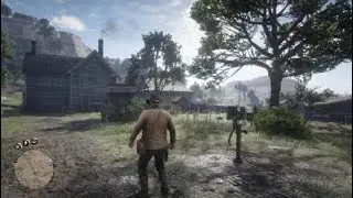 Red Dead Redemption 2 LOL