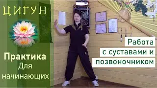 Цигун. Упражнение для суставов и позвоночника (объяснение)