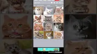 звуки кота