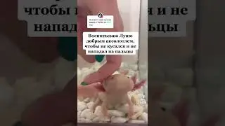 #tiktok #shorts