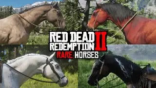 All 10 Rare Horse Locations In RDR2 | Red Dead Redemption 2