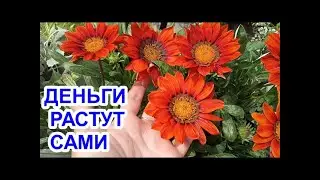 ИРКУТСК -ЗАРАБАТЫВАЮ  В ДЕРЕВНЕ