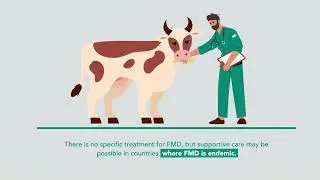 Foot-and-Mouth Disease (FMD) | Merck Veterinary Manual