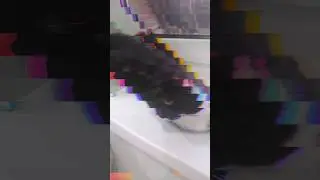 Мурка . новые эффекты 