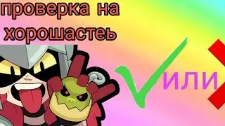 проверка нового бойца Драко