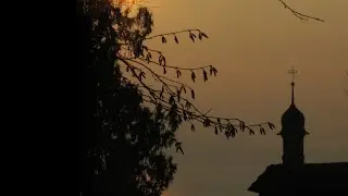Adjon Isten néked - Kovács Nóri és a Balkán Fanatik