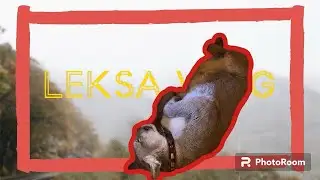 ‼️Как проходят обычные дни Лексы‼️