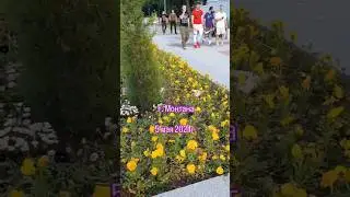 7 мая 2024 г.