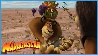 DreamWorks Madagascar  | A Real Lion  | Madagascar  Escape 2 Africa Movie Clip