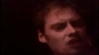 SHAKE DOG SHAKE.avi